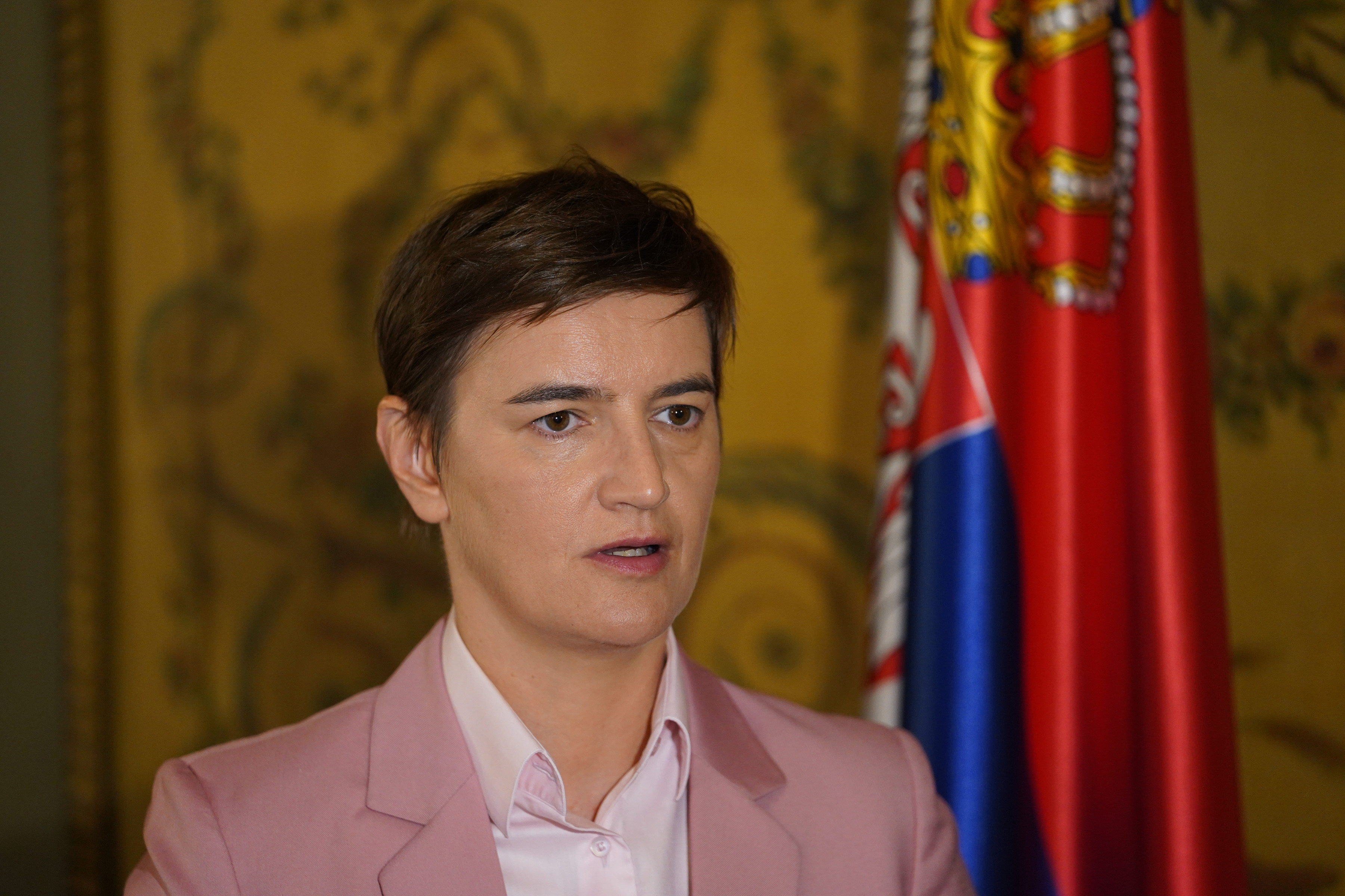 Премьер министр лицо. Брнабич премьер-министр Сербии.